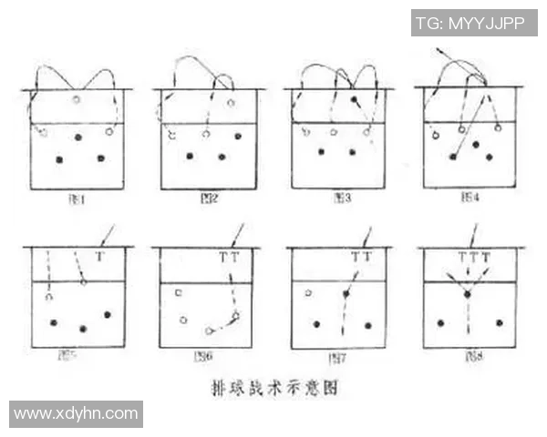 南京排球队防守战术深度分析与实战应用探讨